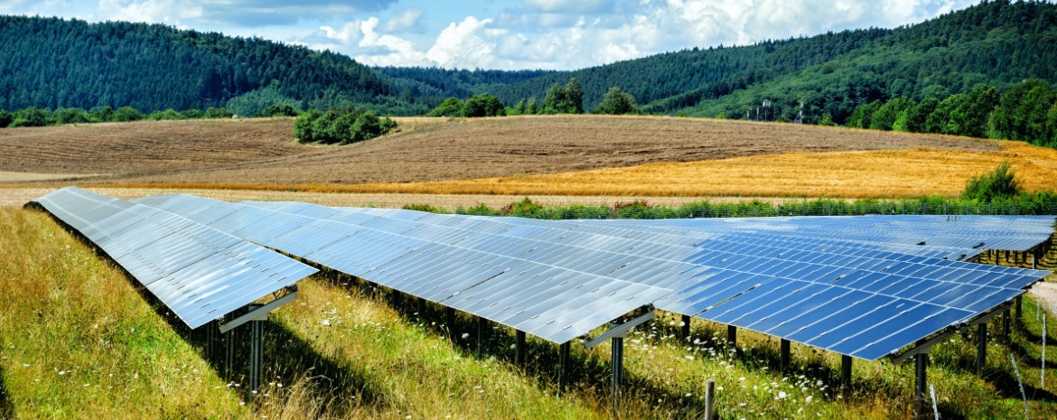 imagen precio instalación campo